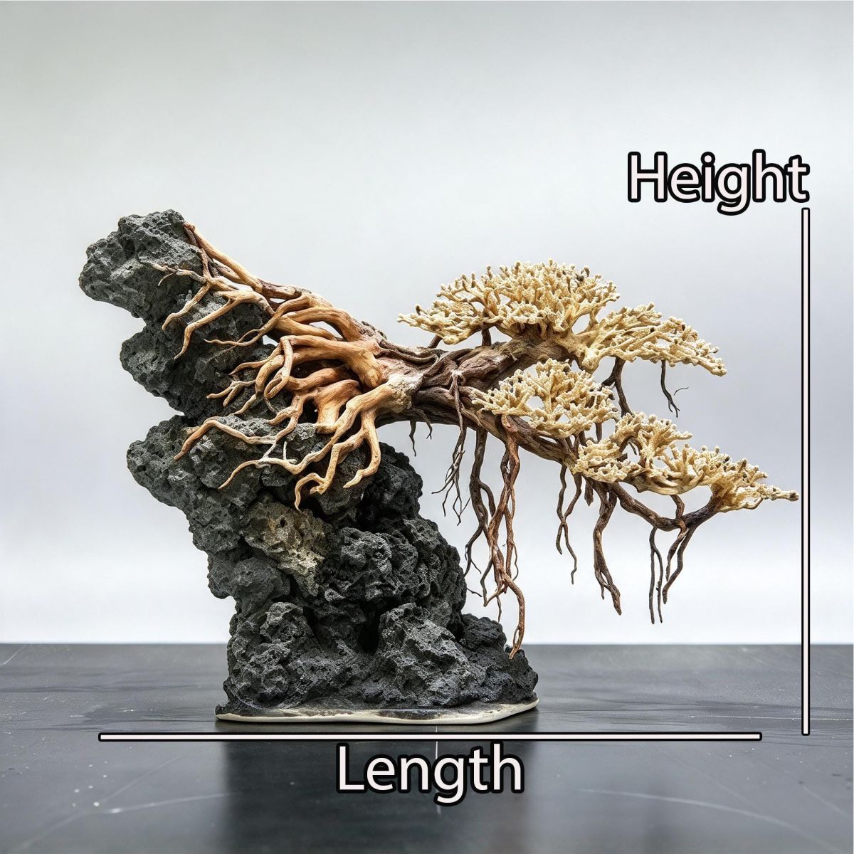 Bonsai Aquascape Layout
