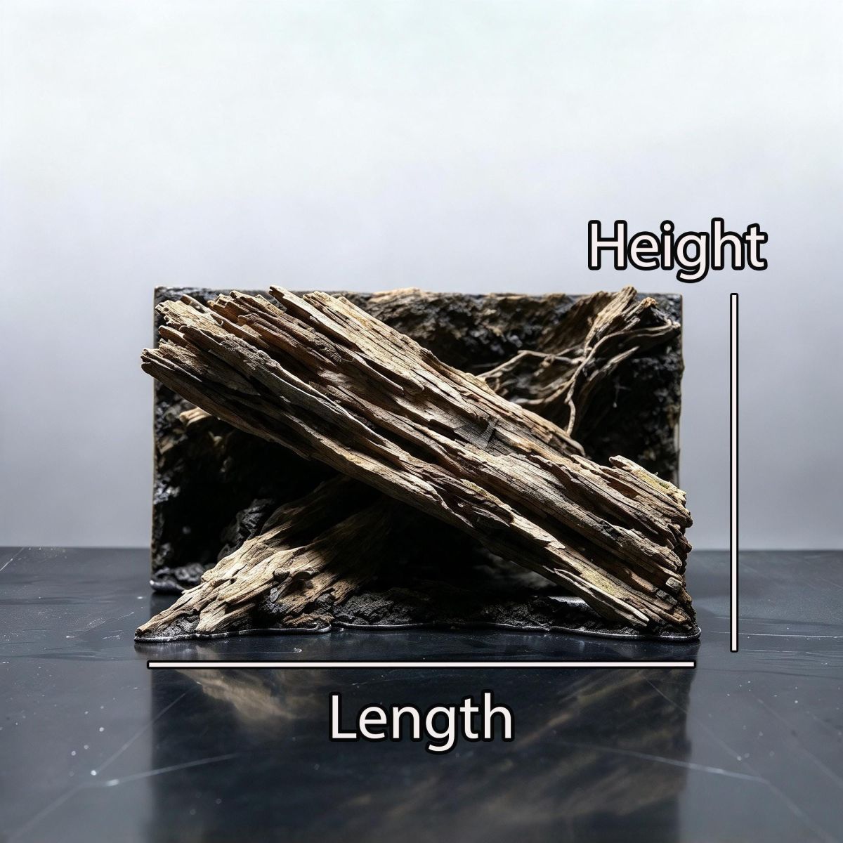 Driftwood Wall Aquascape Layout
