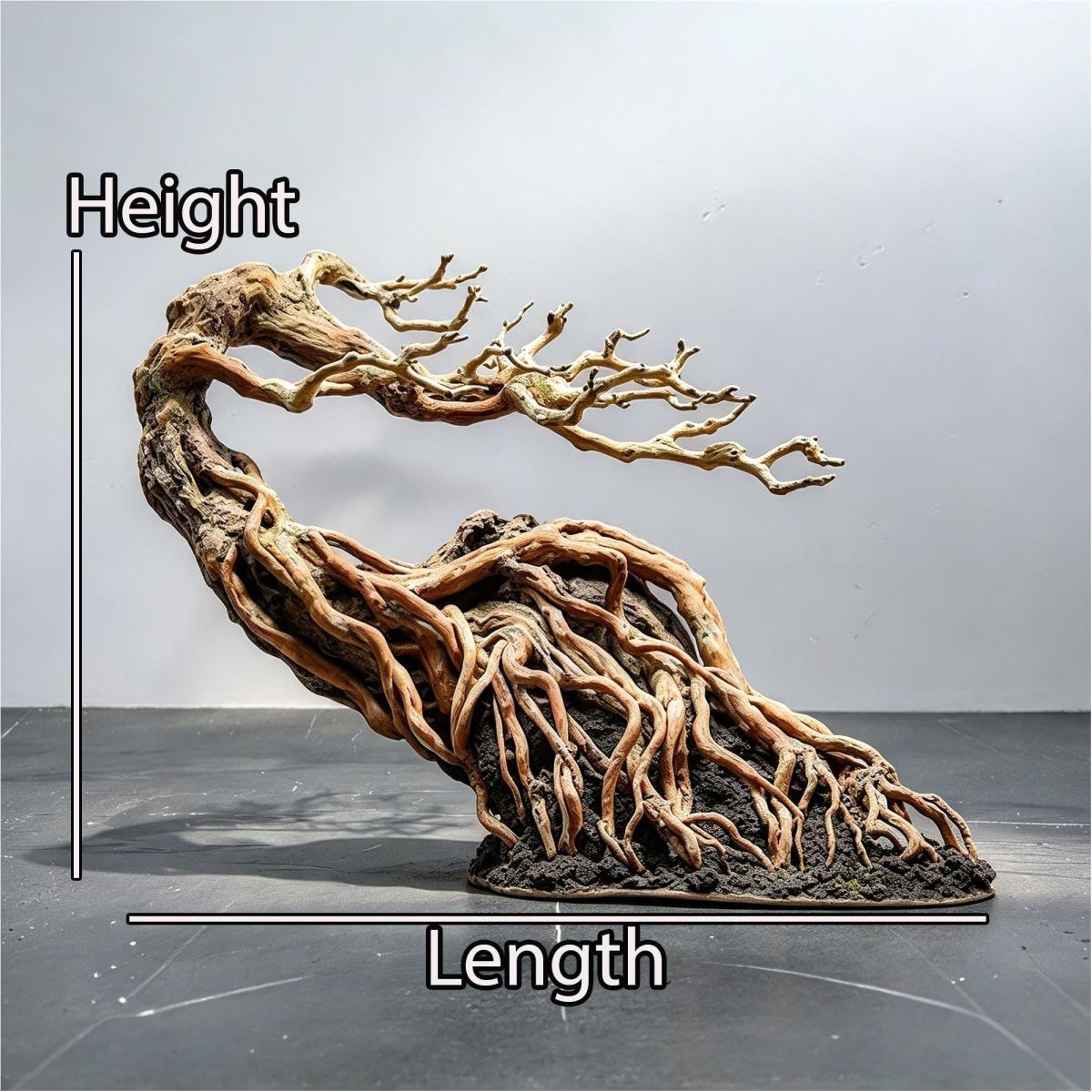 Winding Tree Aquascape Layout