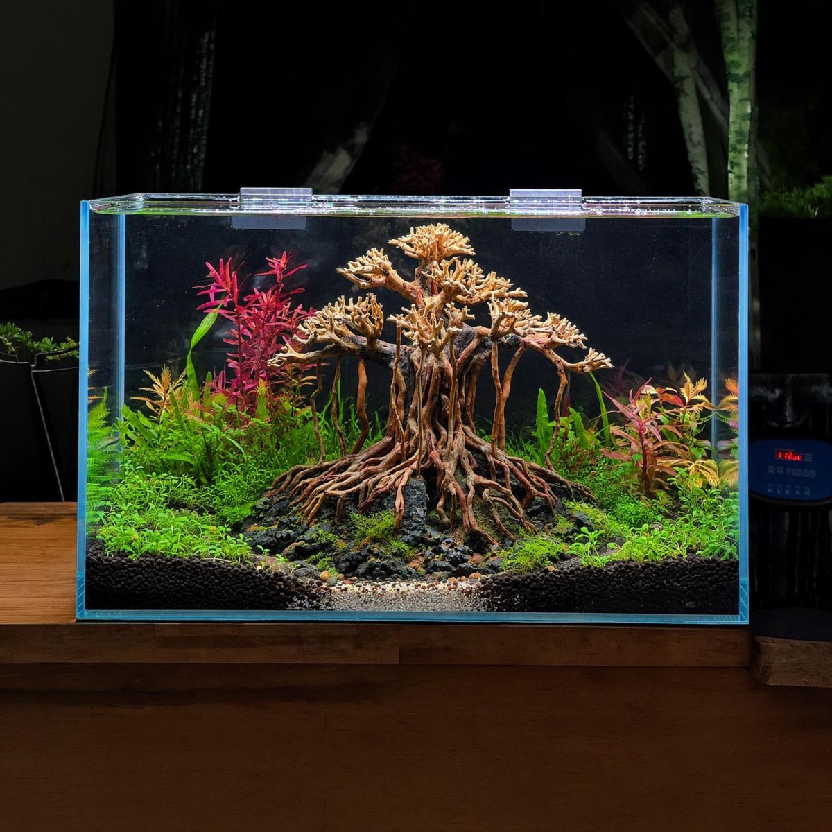 Old Tree Aquarium Layout