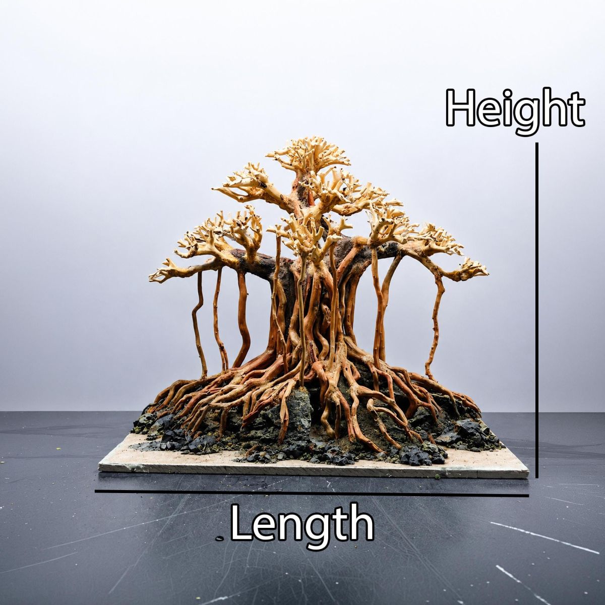 Old Tree Aquarium Layout