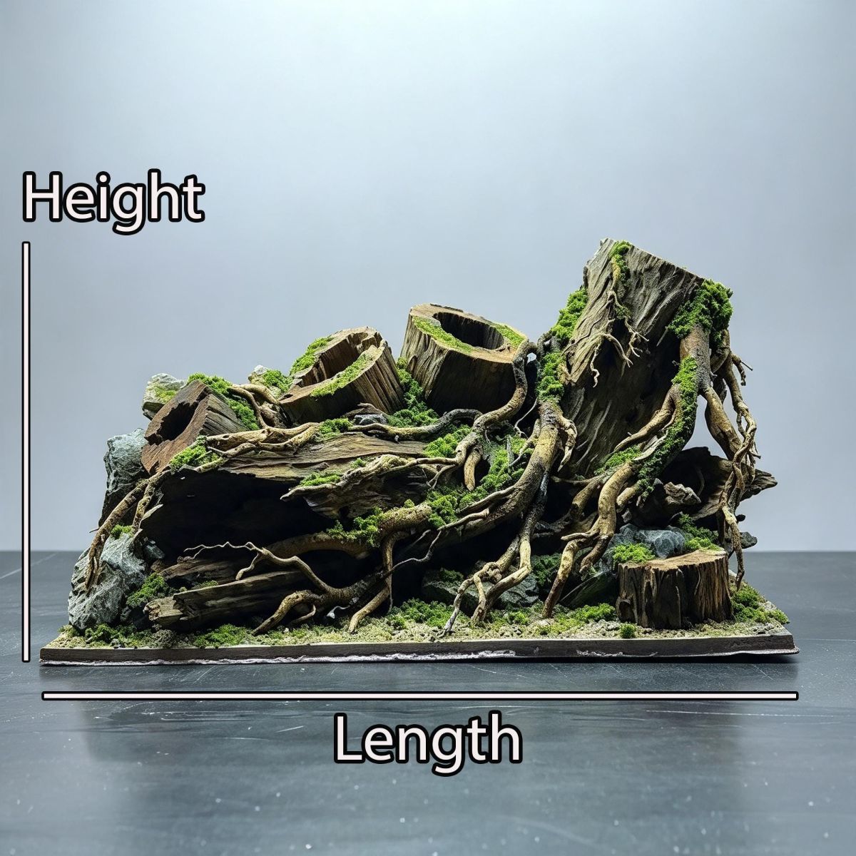 Amazon Forest Driftwood Aquascape