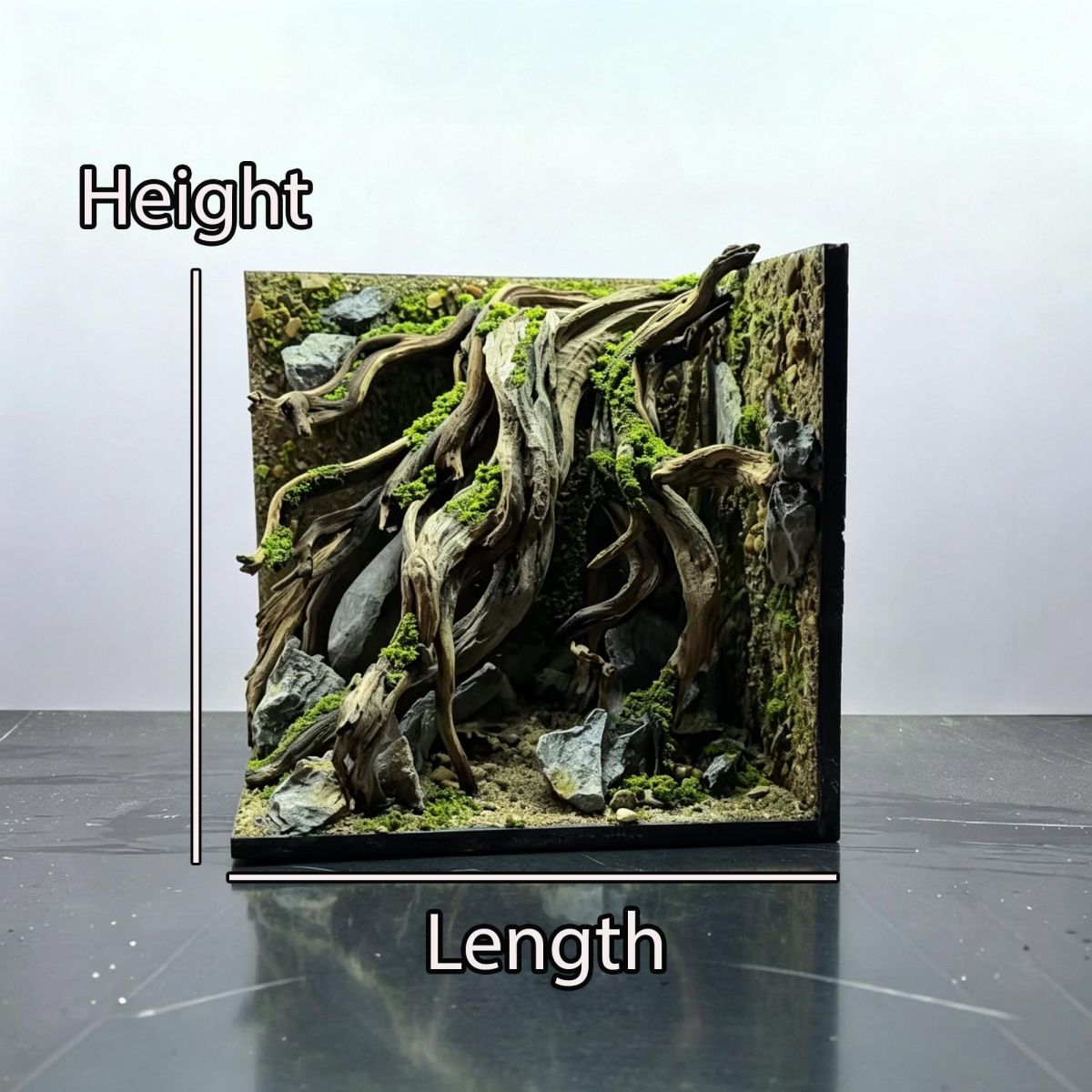 Cliff and Root Aquascape Layout
