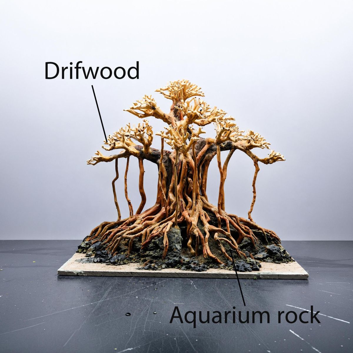 Old Tree Aquarium Layout